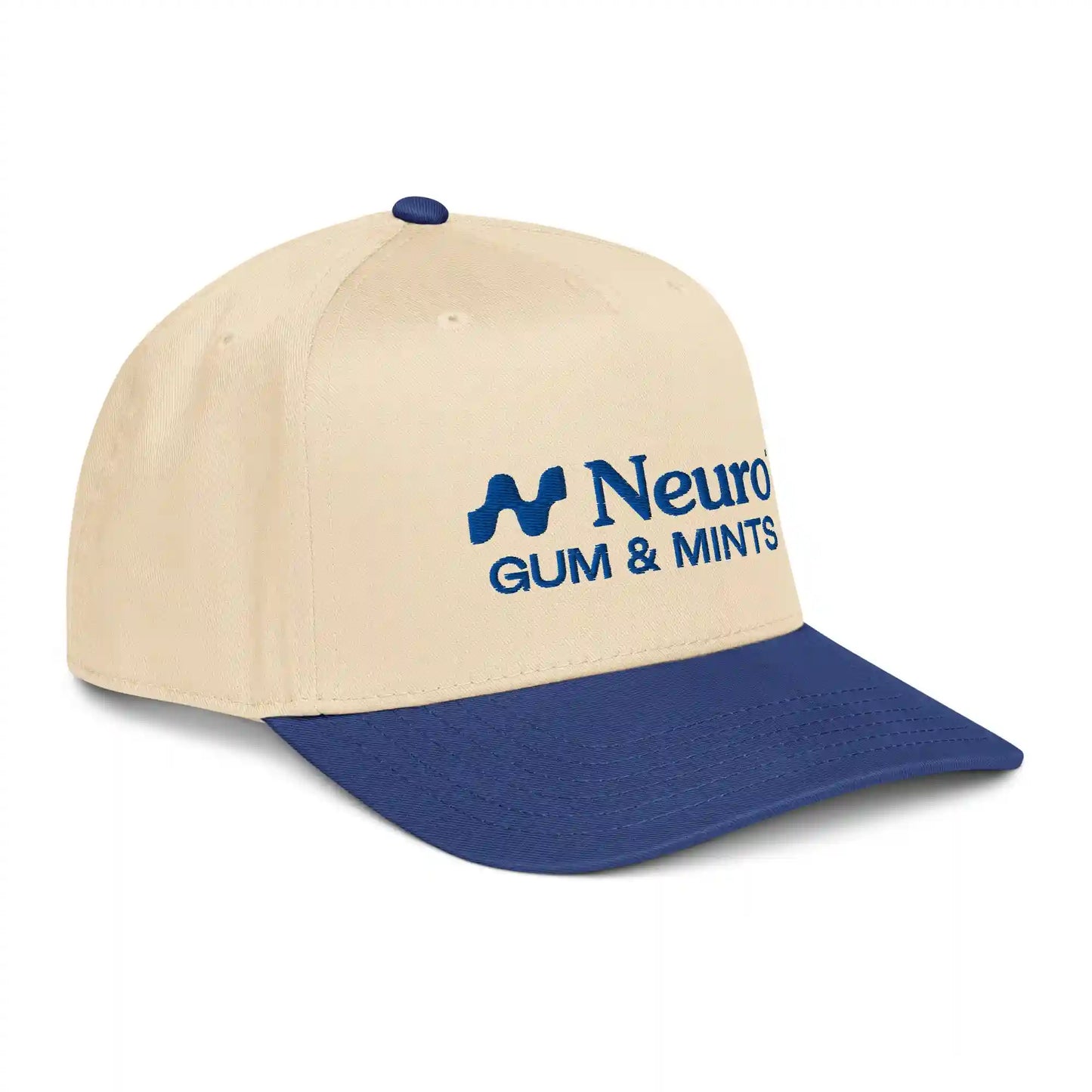 Neuro Logo Panel Hat